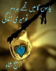 Chahunga_Main_Tujhe_Hardam_Tu_Mer-_Zindagi_by_areej_shah-237x300