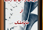 Jo Chaly to Jaan sy gaey
