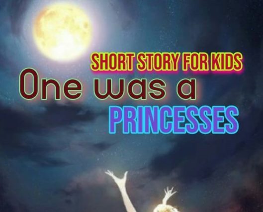 One was a Princess story for kids