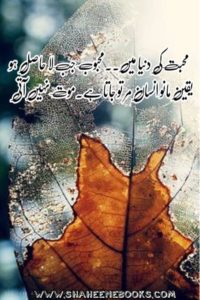 Love Shayari