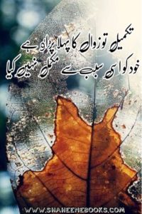 Love Shayari