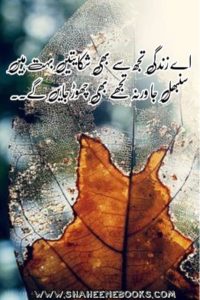 Love Shayari
