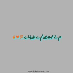 Love Shayari