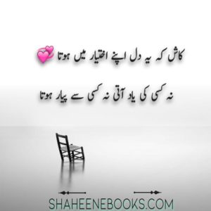 Urdu Shayari