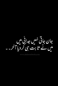 Love Shayari