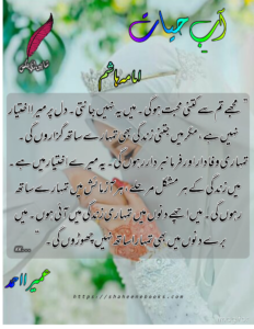 Aab e Hayat Novel | Novel Lines in Urdu