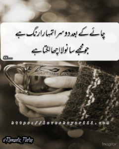 Romantic Poetry | 50+ Love Poetry | Urdu Romantic Poetry Romantic Poetry