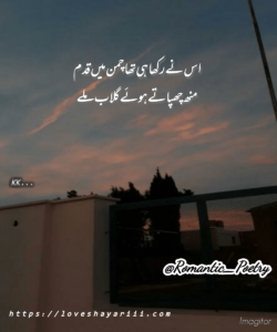Romantic Poetry | 50+ Love Poetry | Urdu Romantic Poetry Romantic Poetry