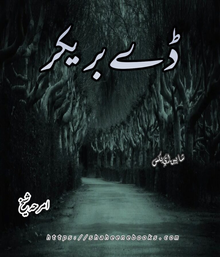 Day Breaker Novel by Amraha Sheikh