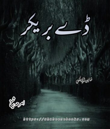 Day Breaker Novel by Amraha Sheikh | Best Urdu Novels