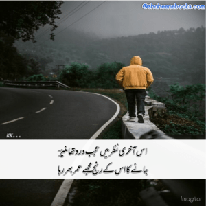 Pics of Sad Poetry | Best Urdu Poetry | 100+ Pics of Poetry