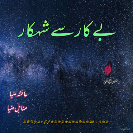 Bekar Sy Shehkar Novel by Ayesha Ziya and Minahil Ziya |  Best Urdu Novel