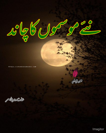 Naye Mausam Ka Chand Novel | Effat Sehar Novels | Best Urdu Novels