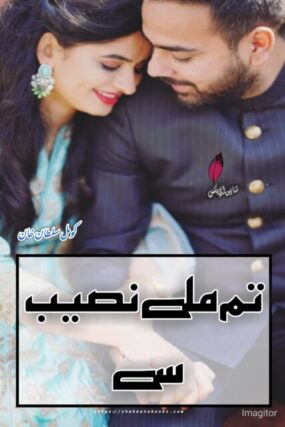 Tum Mile Naseeb Se Novel by Komal Sultan Khan | Best Urdu Novels
