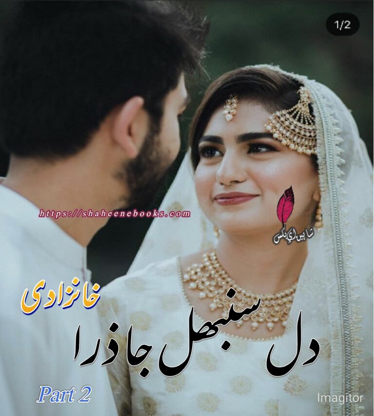 Dil Sambhal Ja Zara Novel Part 2