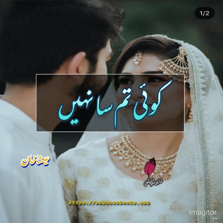 Koi Tumsa Nahi Novel