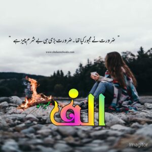 Alif Novel Quotes