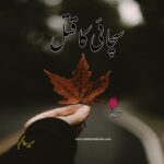 Sachai Ka Qatal Afsana by Meer Hakim | Best Urdu Novels