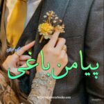 Piya Man Baghi Novel by Aiman Nouman | Free Urdu Novels