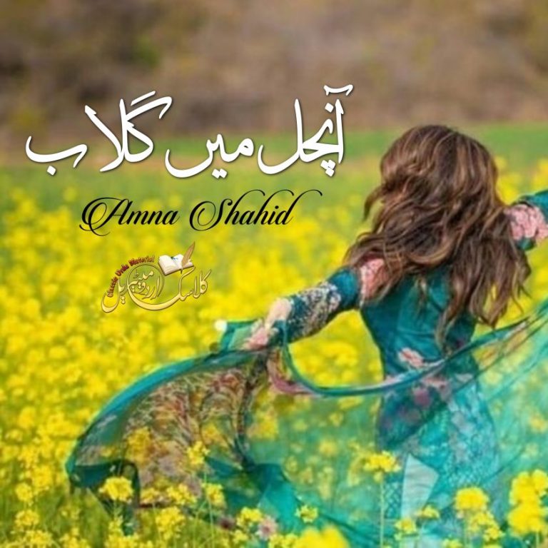 Anchal Mein Gulab By Amna Shahid Choudhary