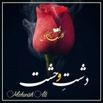 Dashat e Wehshat By Mehwish Ali(Complete PDF Link) – Classic Urdu Material