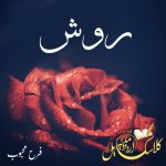 Roosh By Farah Mehboob (Complete PDF) – Classic Urdu Material