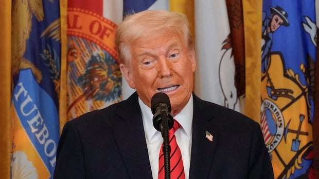Trump wants U.S. control of Ukraine's nuclear plants. How would that work, exactly?