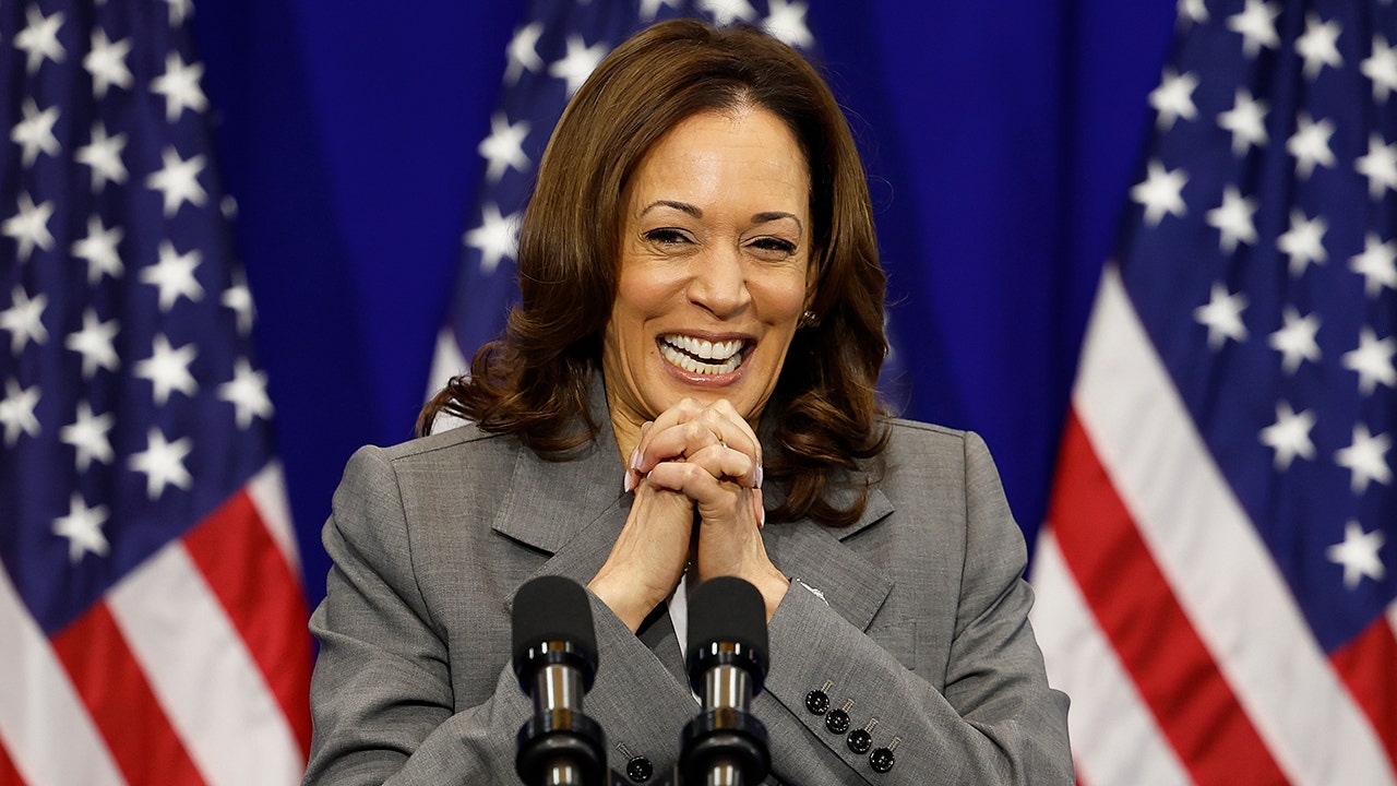 Harris to return to political arena at high-dollar DNC fundraiser in May