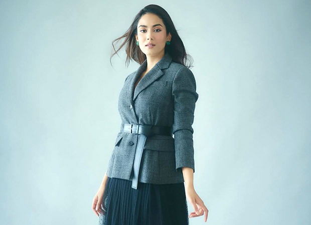 Mira Rajput Kapoor reveals she refused to invest in a restaurant as it doesn’t align with her principles; says, “I am a vegetarian and I am not going to be involved in a business…” : Bollywood News